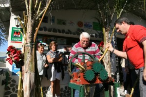 molienda-azucar-w1289-h1289