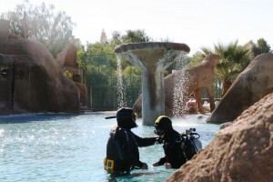 Bautismo-buceo-doncactus