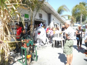 trapiche-doncactus-w1289-h1289