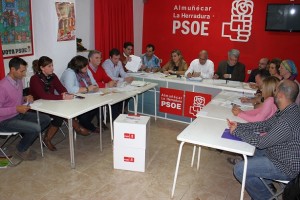 PSOE ALMUÑECAR, EJECUTIVA