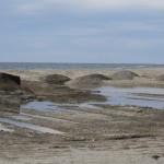 PLAYA DE PONIENTE