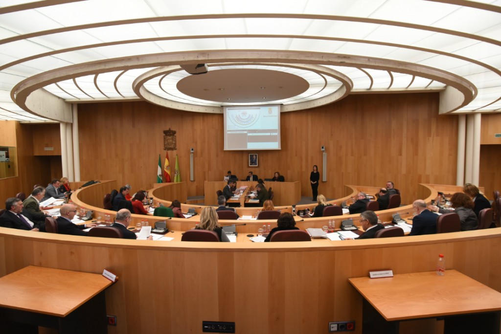PLENO DE LA DIPUTACIÓN PROVINCIAL
