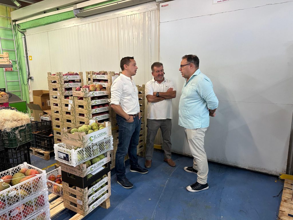 El Ayuntamiento de Almuñécar muestra su respaldo al sector de la fruta tropical en plena campaña del mango y la chirimoya