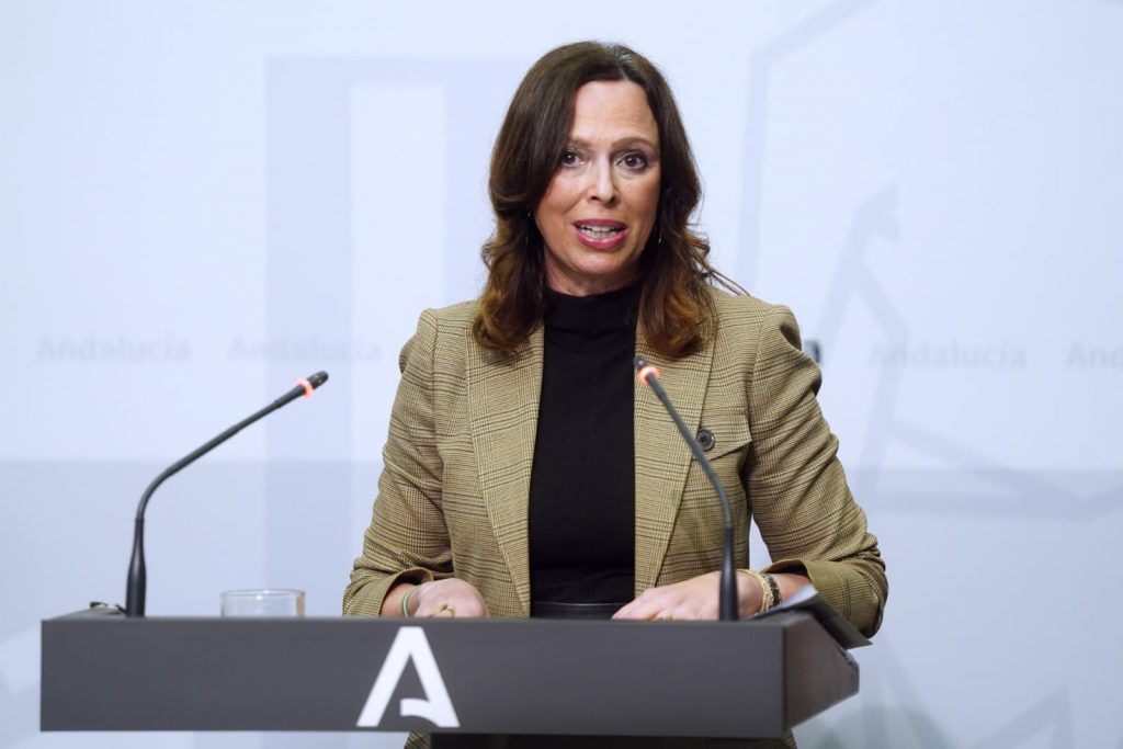 La recuperación de las carreteras en la provincia de Granada, tras la borrasca, tendrá un coste de 22 millones de euros