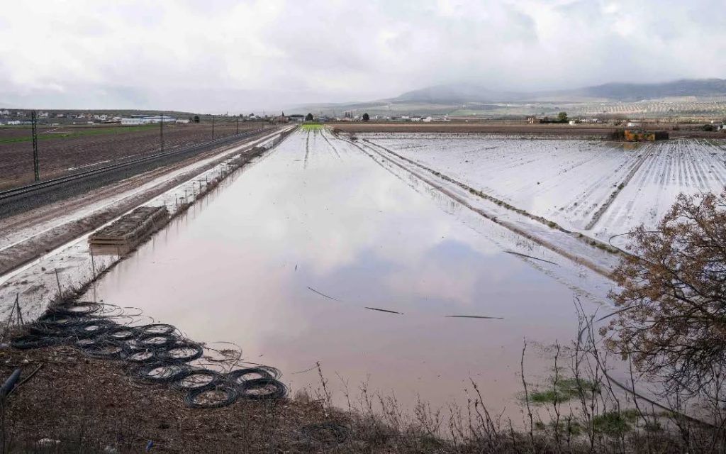UPA Granada iniciará movilizaciones por la exclusión de cinco comarcas de las ayudas directas para paliar los daños de las borrascas