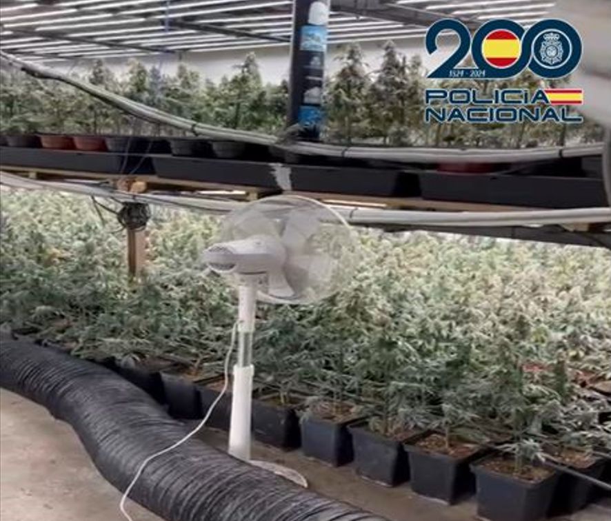 La policía desmantela en Granada una nave dedicada al cultivo de marihuana incautando más de 1.200 plantas